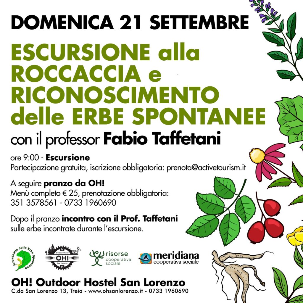 Escursione alla Roccaccia e riconoscimento delle erbe spontanee